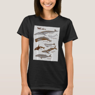 Whales Species Whale Sea Mammals Marine Mammal Orc T-Shirt