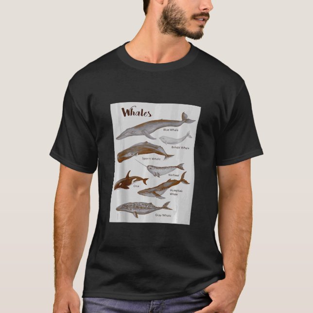 Whales Species Whale Sea Mammals Marine Mammal Orc T-Shirt (Front)