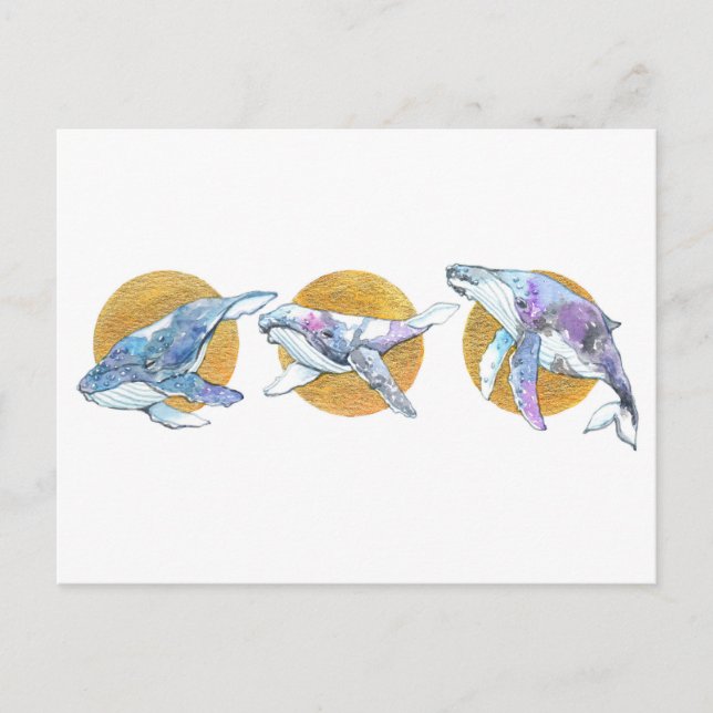 Whales Trio Fly Float and Dream A Postcard (Front)