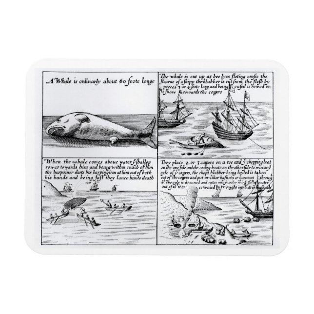 Whaling at Spitzbergen in 1611 (engraving) (b/w ph Magnet (Horizontal)