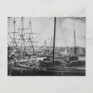 Whaling Port, New Bedford Postcard
