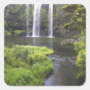 Whangarei Falls, Whangarei, Northland, New 2 Square Sticker