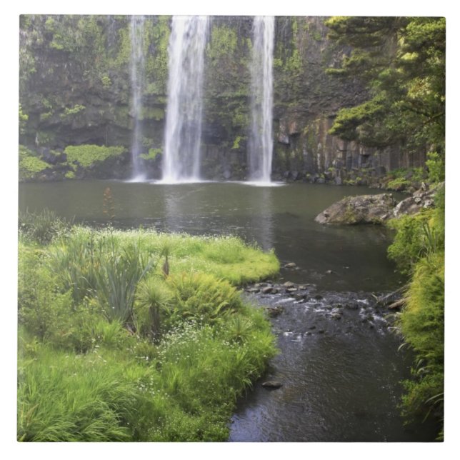 Whangarei Falls, Whangarei, Northland, New 2 Tile (Front)