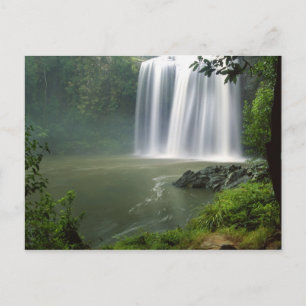 Whangarei Falls, Whangarei, Northland, New Postcard