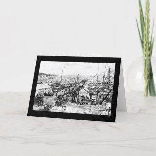 Wharf in Auckland, New Zealand 1908 Card