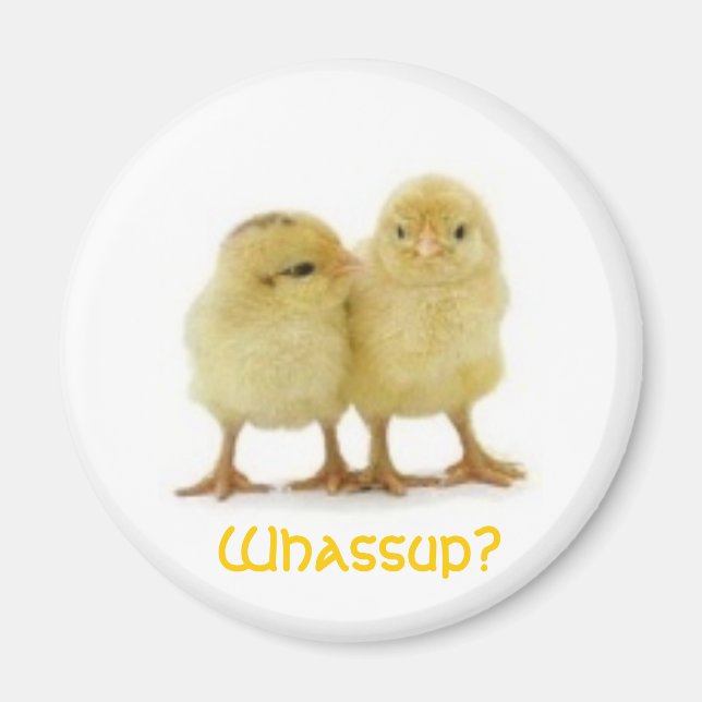 Whassup CHICK? Magnet (Front)