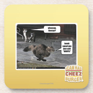 whassup, George? Coaster