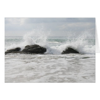 what a beautiful day