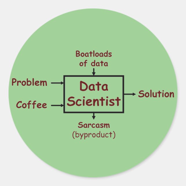 What a data scientist does all day classic round sticker (Front)