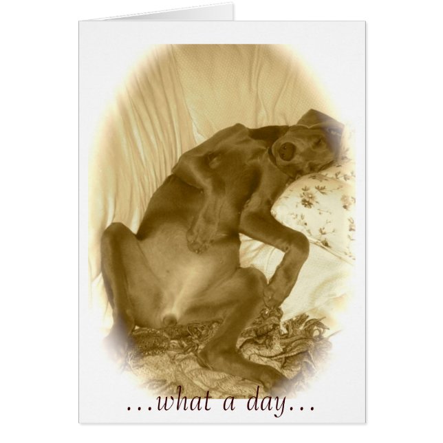 ...what a day... (Front)