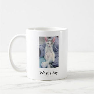 What A Day Mug