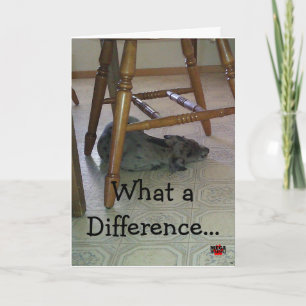 What a Difference A Year Makes!!! Card