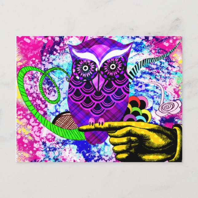 What a Hoot Postcard (Front)