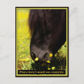 What a horse's mouth was created for postcard