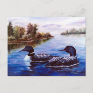 What A Pair Loon Postcard