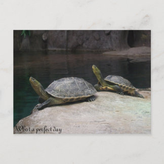What a perfect day postcard