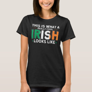 What A Really Cool Irish Looks Like Flag Roots Ire T-Shirt