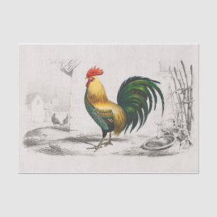 What a Standout! Royal Rooster in a Cocky Pose Tissue Paper