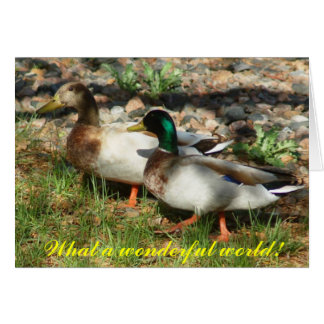 What a wonderful world!