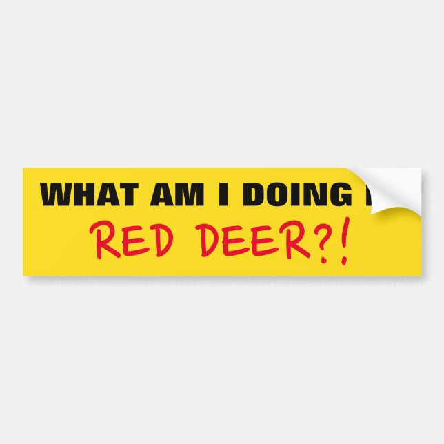"WHAT AM I DOING IN RED DEER?!" Bumper Sticker (Front)