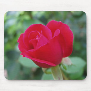 What an Awesome Rose Mouse Mat