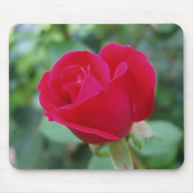What an Awesome Rose Mouse Mat (Front)