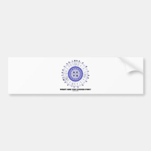 What Are You Coded For? (Amino Acid Wheel) Bumper Sticker