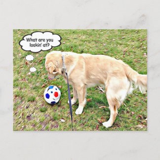 What are you lookin' at Golden face-off Postcard