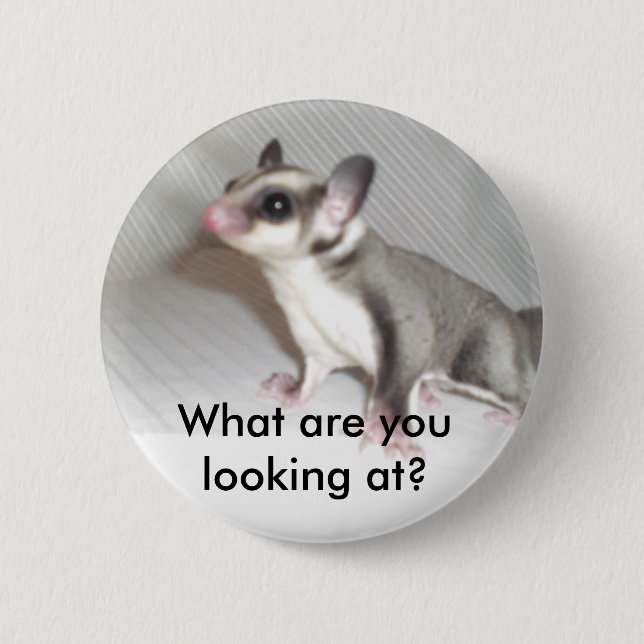 What are you looking at? 6 cm round badge (Front)