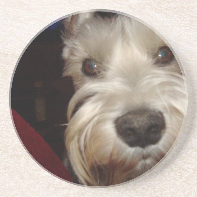 What are YOU Looking At? Coaster (Front)