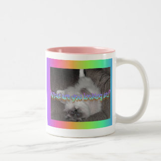 What are you looking at? Two-Tone coffee mug