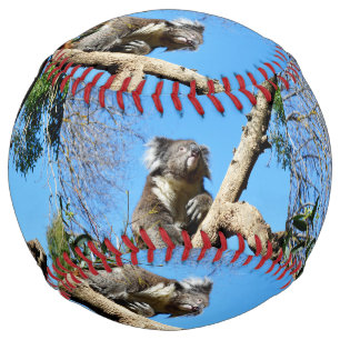 What Are You Thinking Mr Koala Bear, Softball