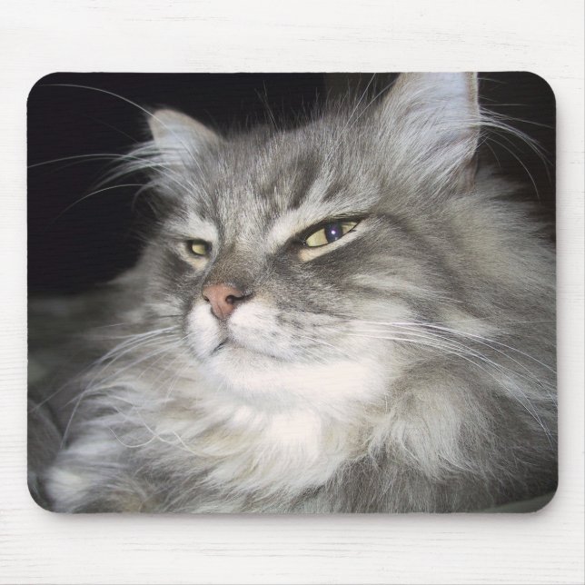 What Attitude? Mouse Mat (Front)