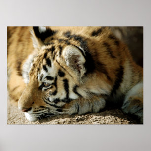 What can I do next? Poster