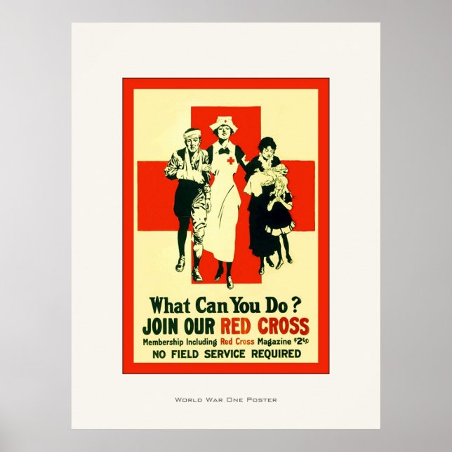 What Can You Do? ~ Vintage Nurse ~ WW1 Poster (Front)
