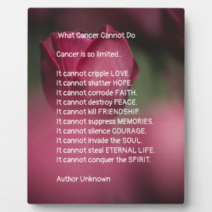 What Cancer Cannot Do, Support and Encouragement Plaque