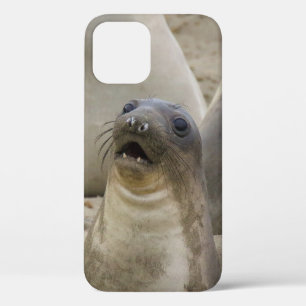 WHAT??? iPhone 12 PRO CASE