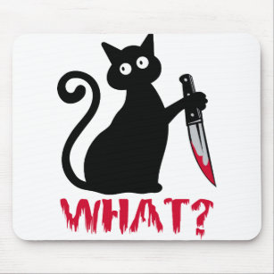 What Cat Mouse Mat