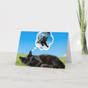 What cats dream about! Card