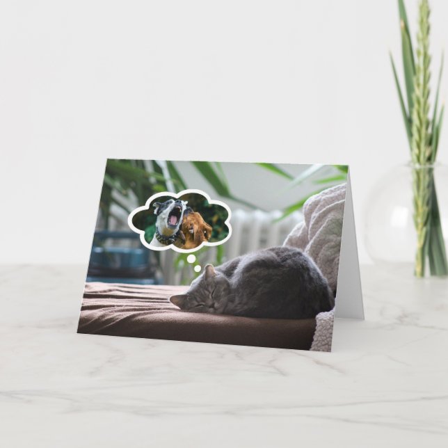 What cats dream about! Card (Front)