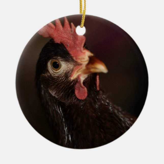 What? Ceramic Tree Decoration (Front)