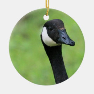 What? Ceramic Tree Decoration