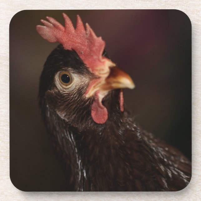 What Coaster (Front)