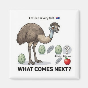 What Comes Next? Emu Australia Pattern Logic Game Magnet