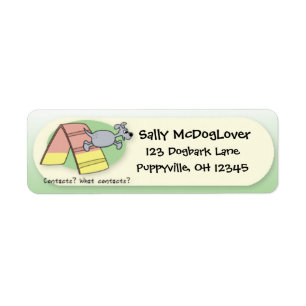 What Contacts? Dog Agility