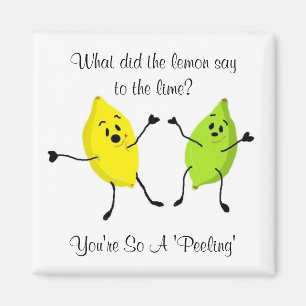 What did the lemon say to the lime... magnet