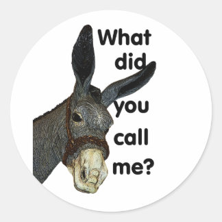 What did you call me? classic round sticker