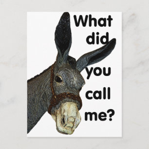 What did you call me? postcard