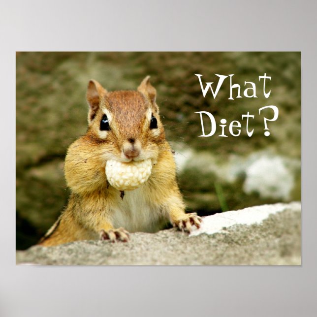 What Diet? Chipmunk Poster (Front)