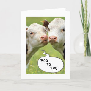 WHAT DO COWS HAVE TO DO WITH HALLOWEEN CARD